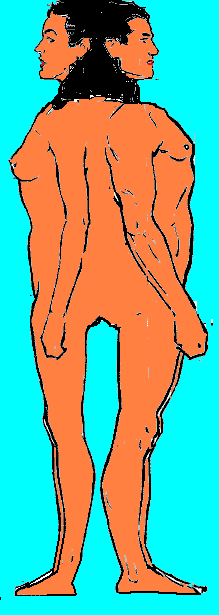 Kadmon.PNG