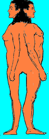 Kadmon.PNG