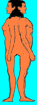 Kadmon.PNG