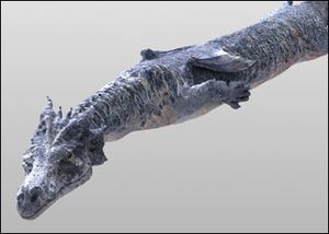 Dragao2.jpg